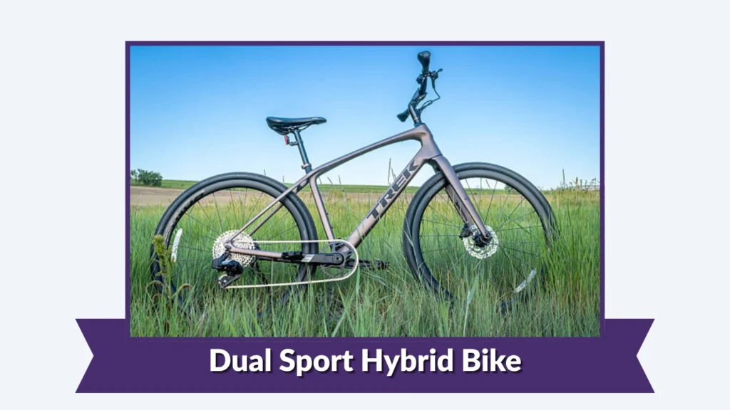 Dual Sport Hybrid Bike