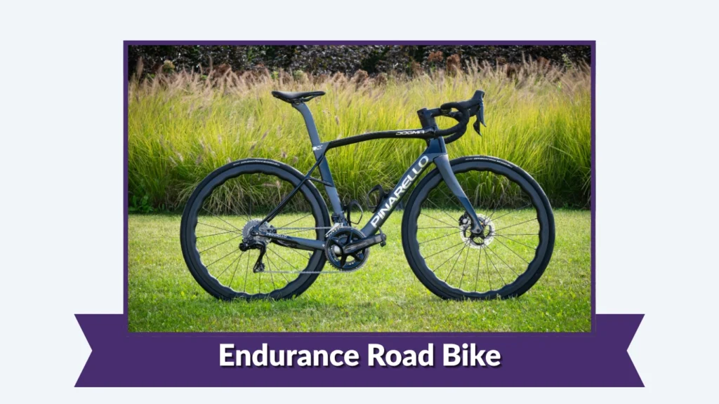 Endurance Road Bike