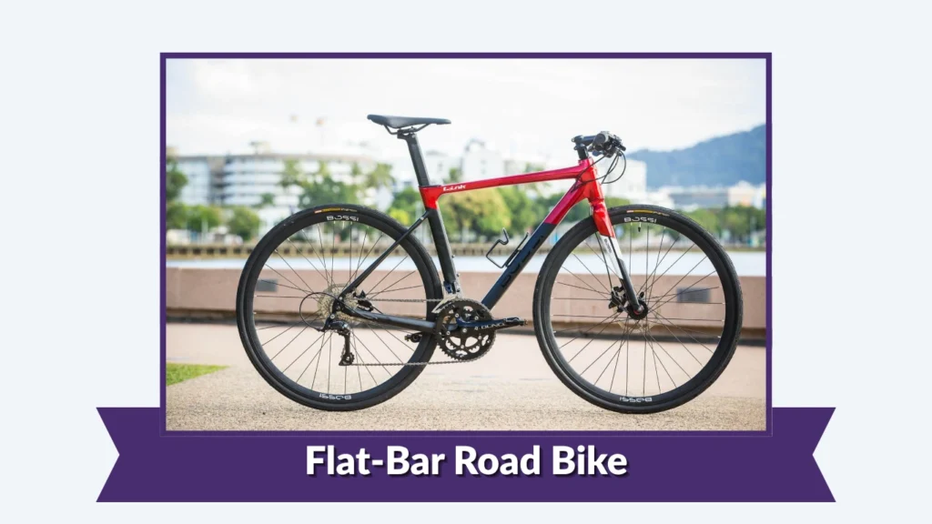Flat-Bar Road Bike
