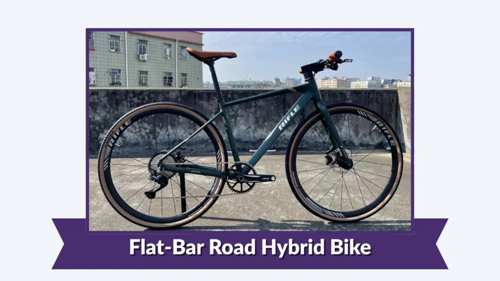 Flat-Bar Road Hybrid Bike