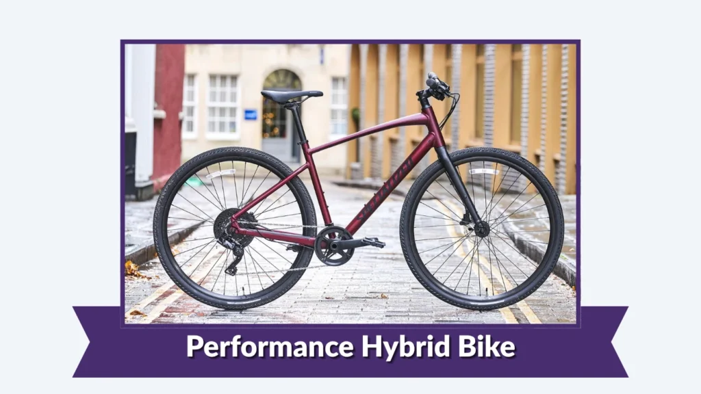 Performance Hybrid Bike