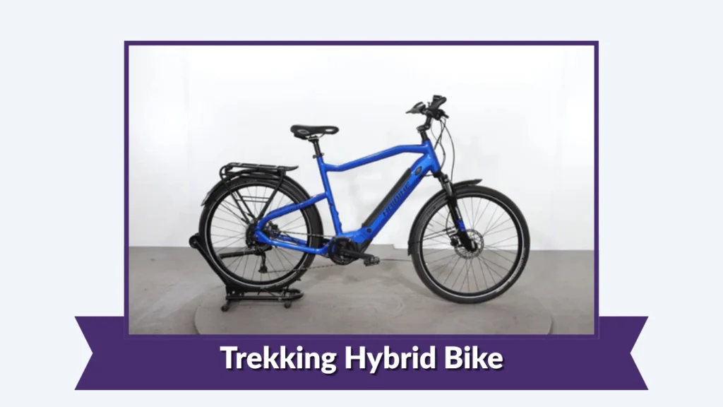 Trekking Hybrid Bike