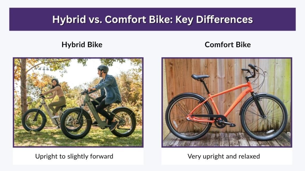 Hybrid vs. Comfort Bike: Key Differences