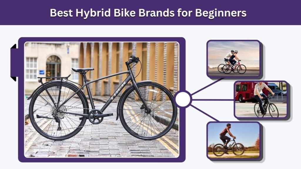 Best Hybrid Bike Brands for Beginners