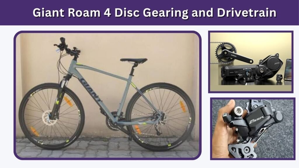 Giant Roam 4 Disc Gearing and Drivetrain