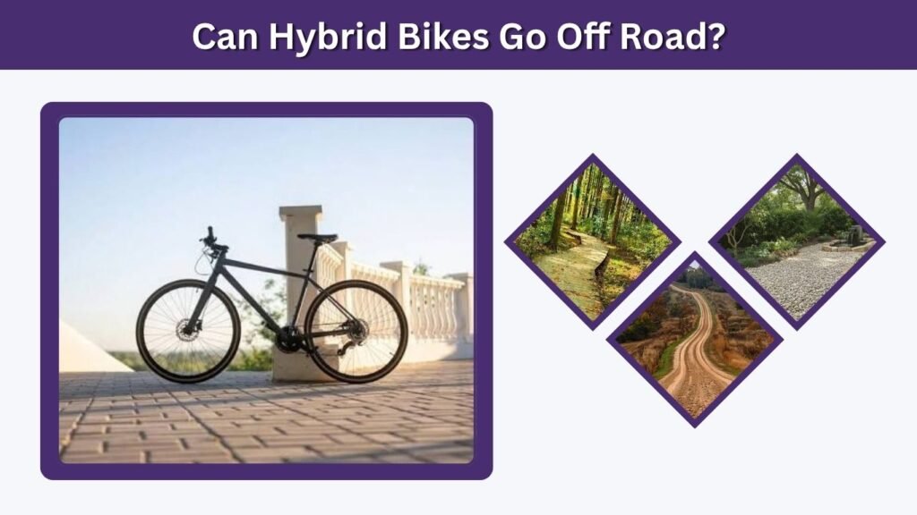 Can Hybrid Bikes Go Off Road?