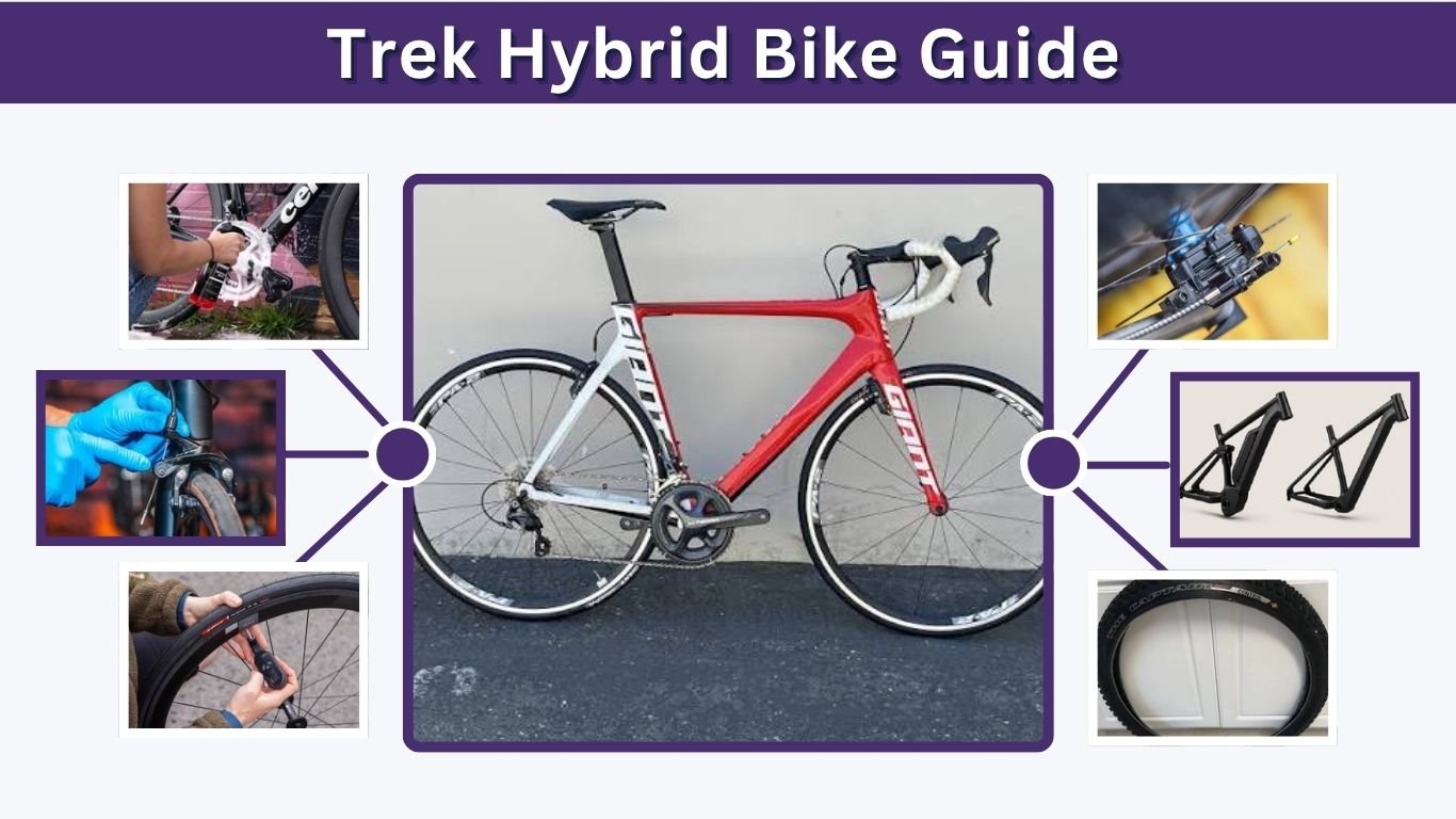Trek Hybrid Bike Guide: Best Models, Features and Uses