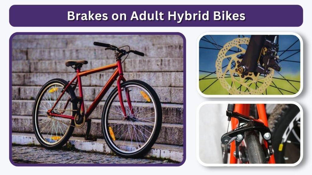 Brakes on Adult Hybrid Bikes