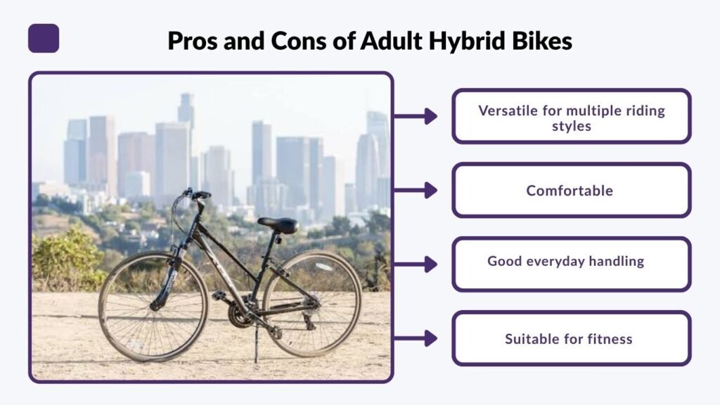 Pros and Cons of Adult Hybrid Bikes