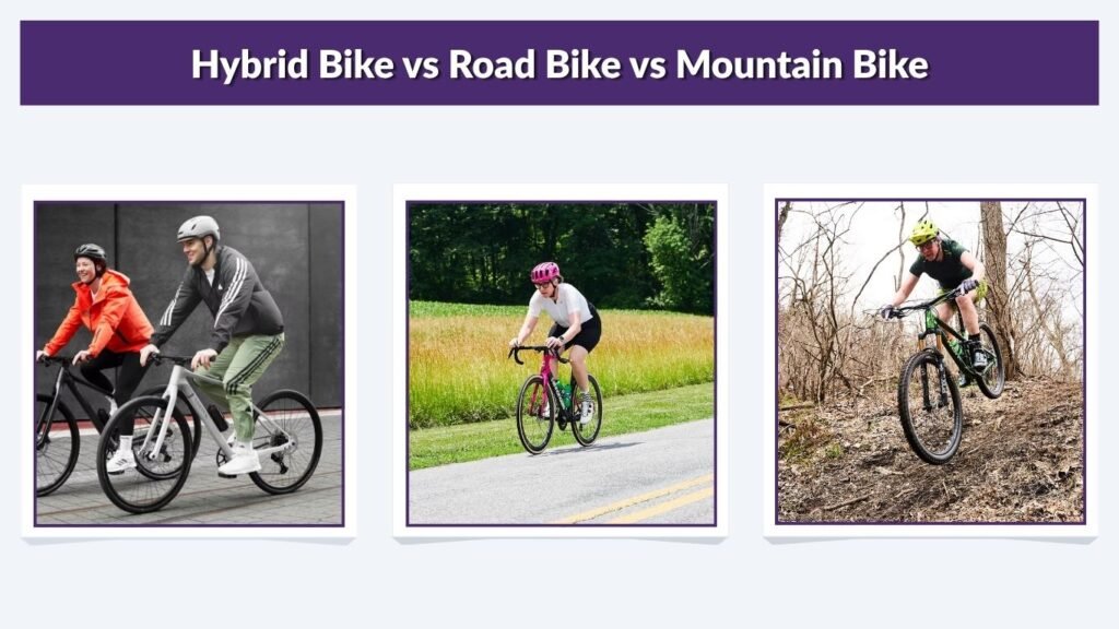 Hybrid Bike vs Road Bike vs Mountain Bike