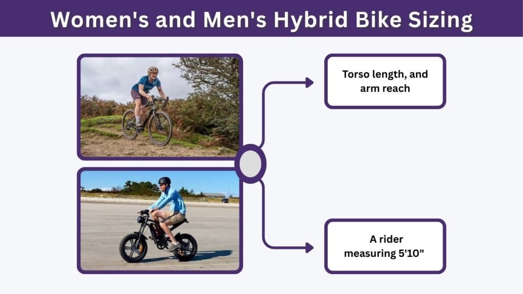 Women's and Men's Hybrid Bike Sizing