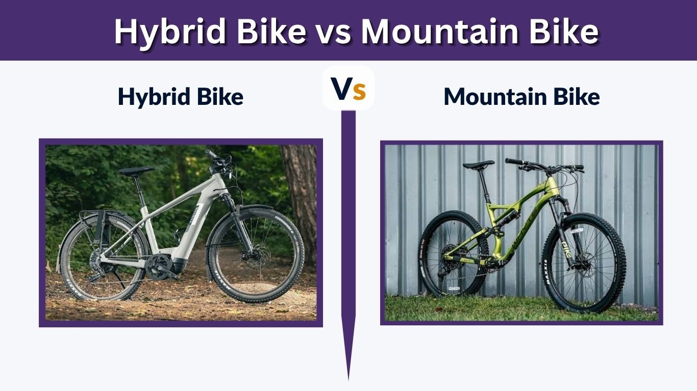 Hybrid Bike vs Mountain Bike: Which One Is Better?