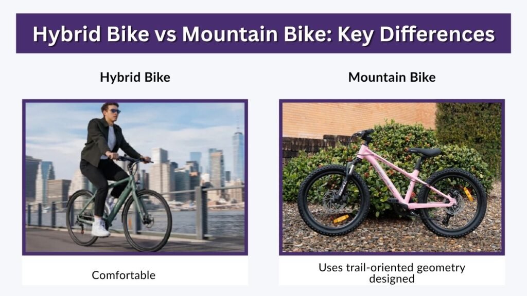 Hybrid Bike vs Mountain Bike: Key Differences