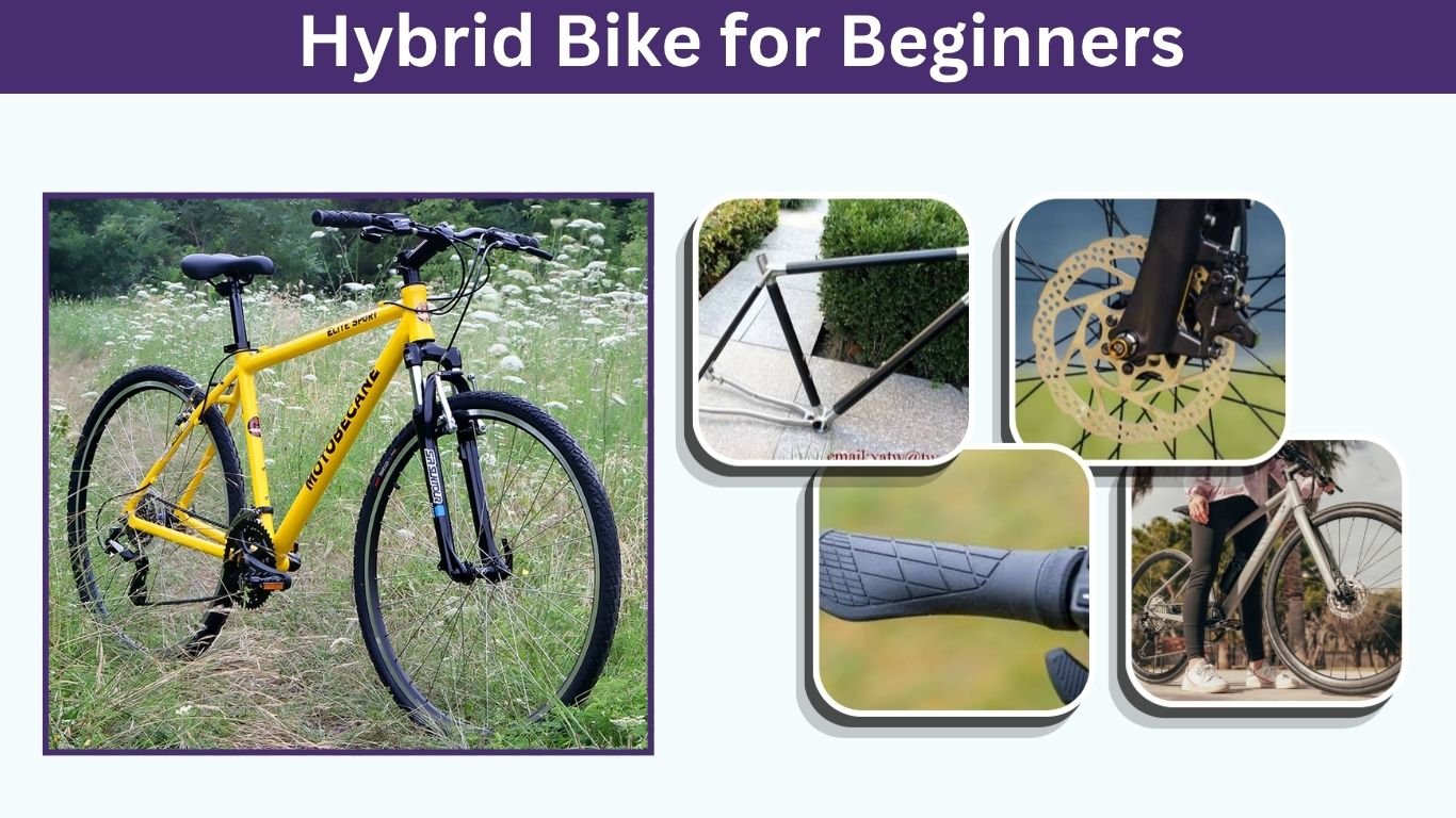Hybrid Bike for Beginners: How to Choose the Best Bike