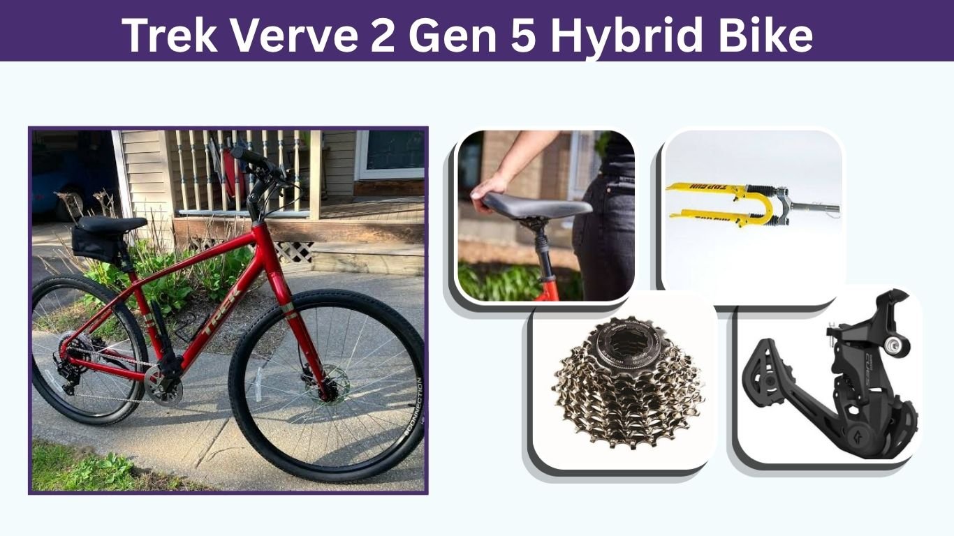 Trek Verve 2 Gen 5 Hybrid Bike: Features, Specs & Review