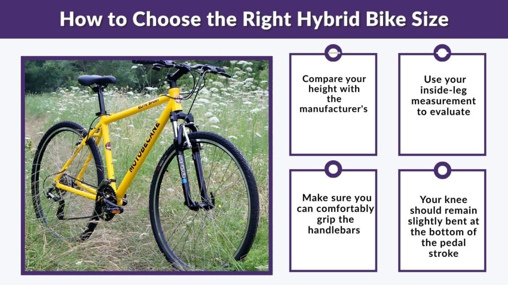 How to Choose the Right Hybrid Bike Size