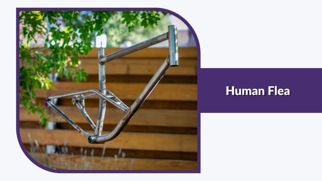 Aluminum Hybrid Bike Frame