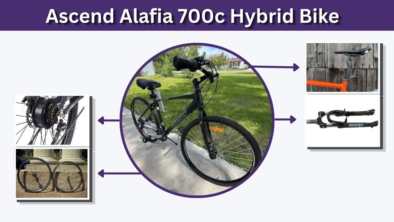 Ascend Alafia 700c Hybrid Bike: Features and Review