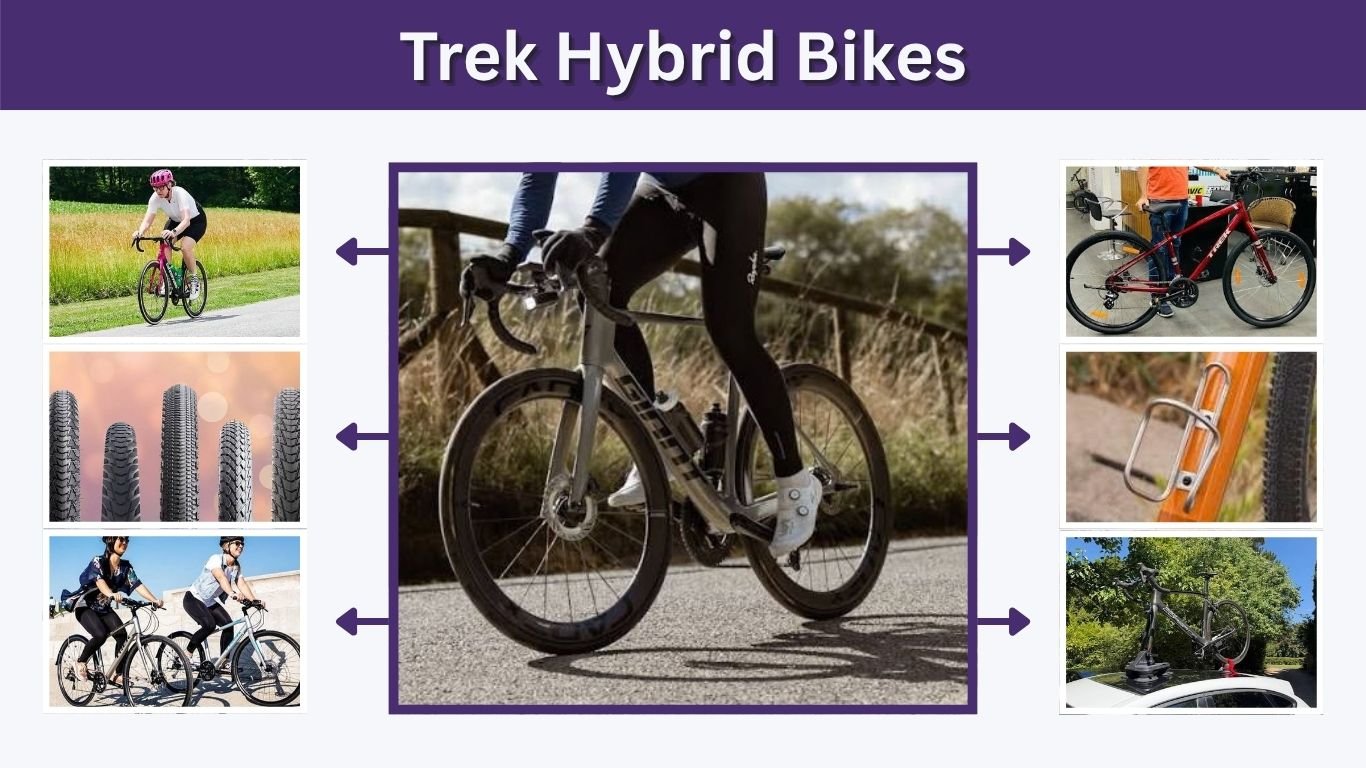 Trek Hybrid Bikes: Complete Guide to Models and Features