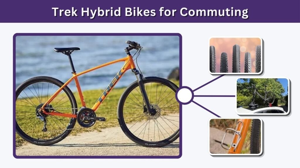 Trek Hybrid Bikes for Commuting