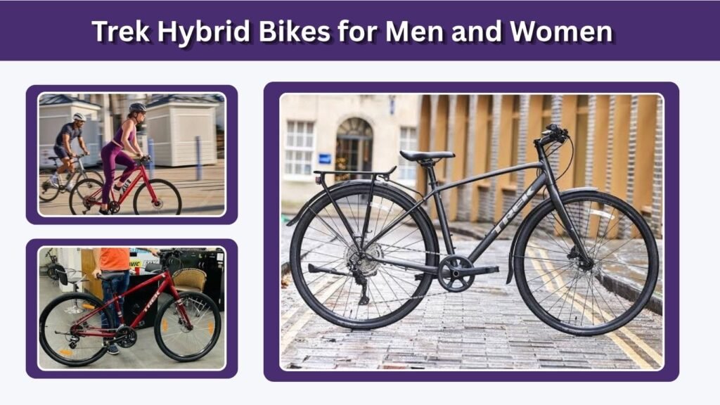 Trek Hybrid Bikes for Men and Women