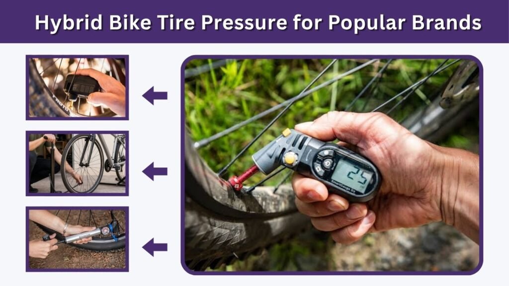 Hybrid Bike Tire Pressure for Popular Brands