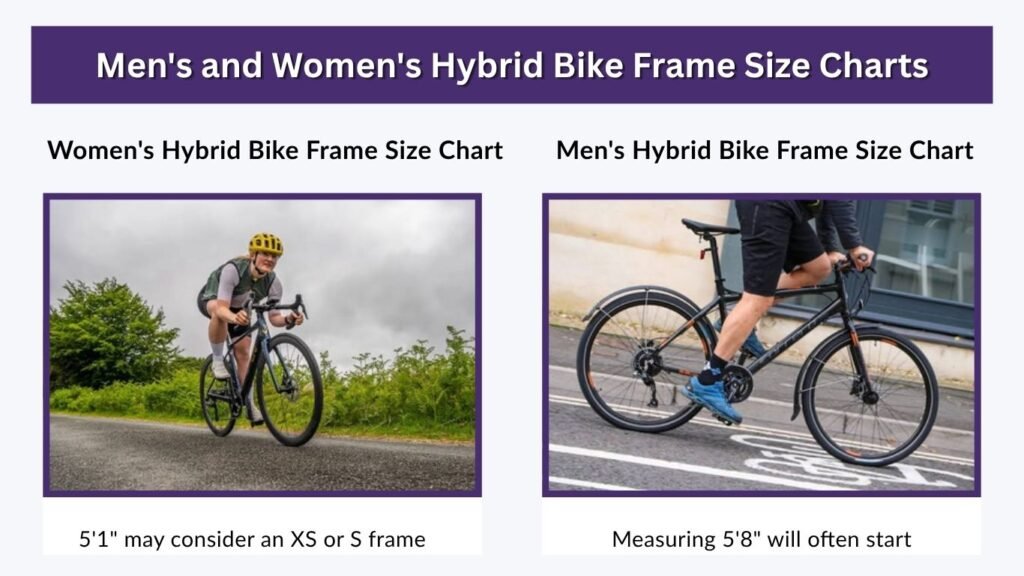 Men's and Women's Hybrid Bike Frame Size Charts