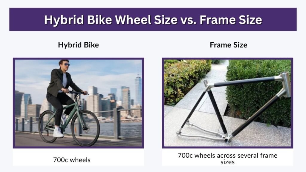 Hybrid Bike Wheel Size vs. Frame Size